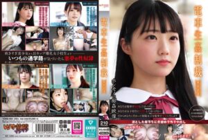 【新作】電車制服美少女の卑猥な制裁シーンが炸裂!