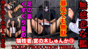【新作】笑いと快感が炸裂！くすぐりの絶品作品