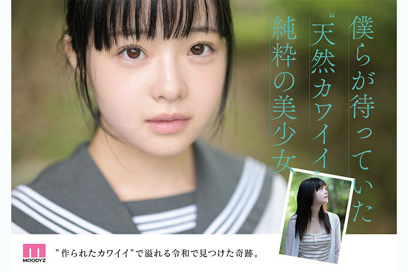サンプル画像4
